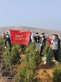 植樹造林
